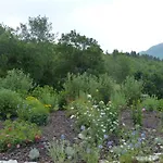 Σπίτι διακοπών La Prairie Noyers-sur-Jabron