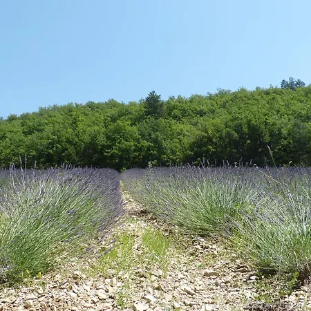 La Prairie Noyers-sur-Jabron