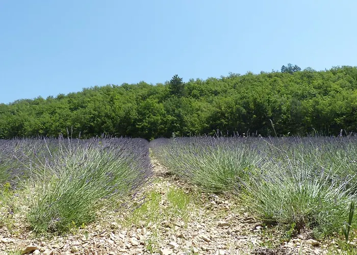 La Prairie Noyers-sur-Jabron